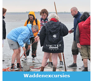 waddenexcursie Friesland