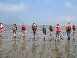 wadlopen Moddergat