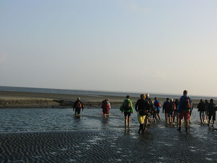 Wadlopen naar Schiermonnikoog