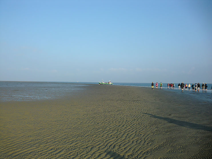 Wadlopen naar Schiermonnikoog