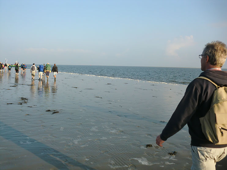 Wadlopen naar Schiermonnikoog