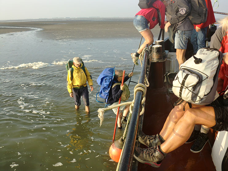 Wadlopen naar Schiermonnikoog