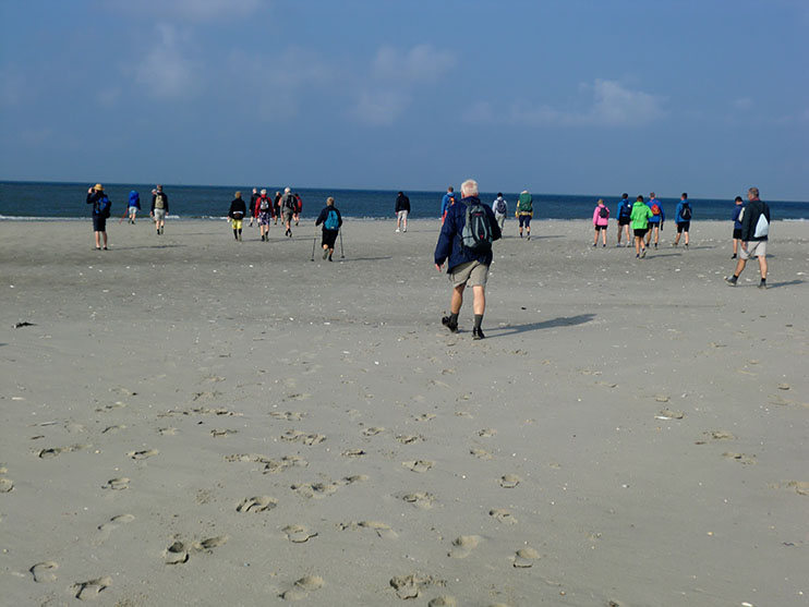 Wadlopen naar Schiermonnikoog